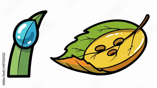Vibrant cartoon illustration of a dewdrop on a leaf and a multi-colored leaf with seeds