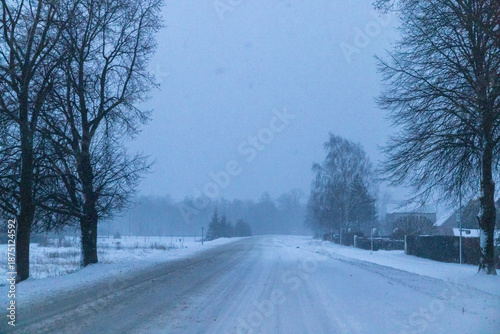Snowstorm on a Rural Road