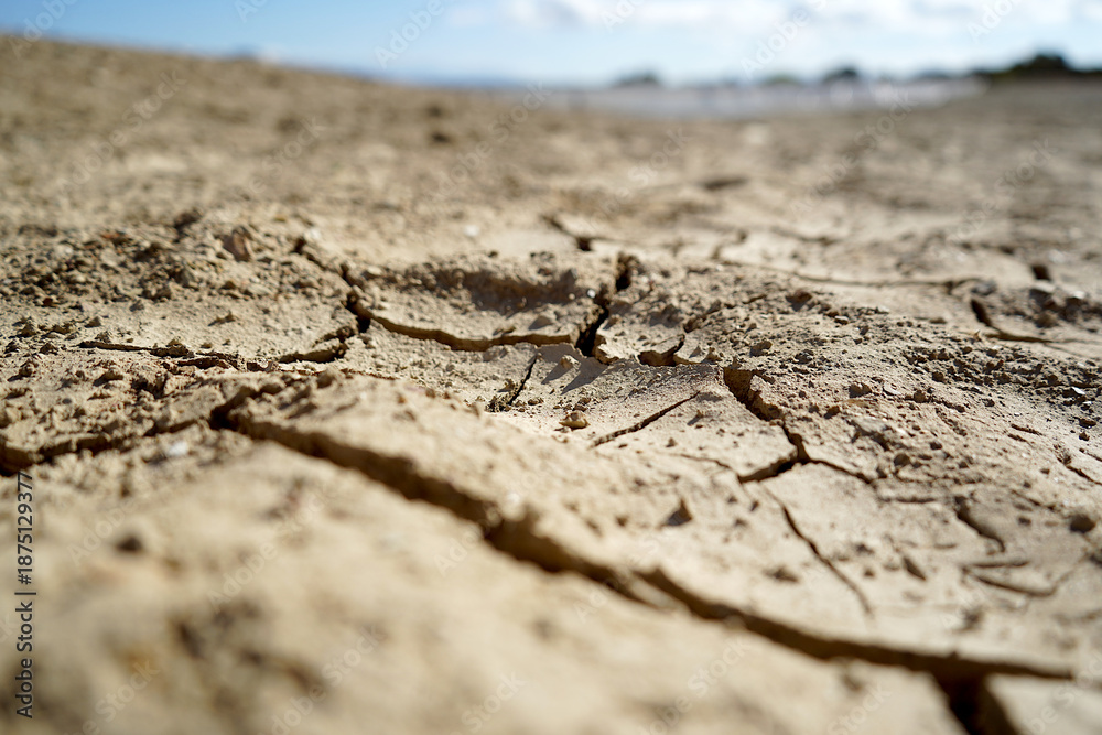Fototapeta premium Cracked and dried mud in an empty dam, climate change image