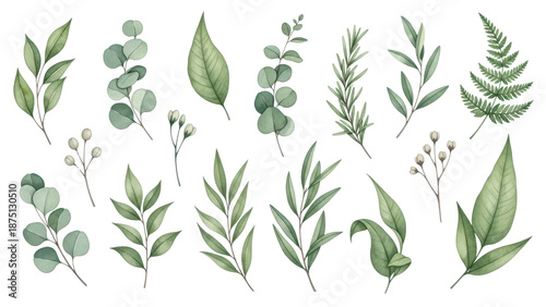 Collection of watercolor greenery branch leaves twigs floral plant forest herbs isolated on white background. Botanical spring summer leaf illustration for wedding invitation card, frame and wreath