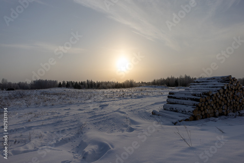 Winter Sun Over Log Pile