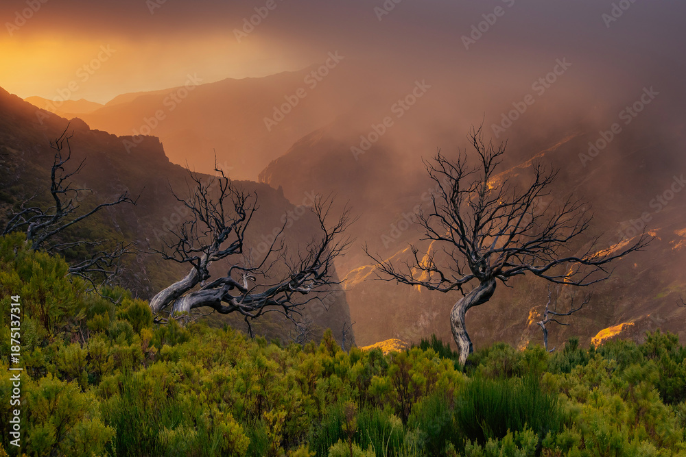 Fototapeta premium Beautiful sunrise with clouds in Pico Ruivo, Madeira