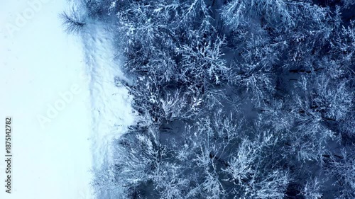 Aerial View of Frost Covered Trees and Snow Field in Winter
