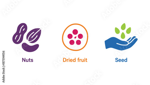 A colorful infographic showcasing healthy food options including nuts and seeds