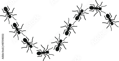 Ant colony forming a path or trail, illustrating organization and teamwork