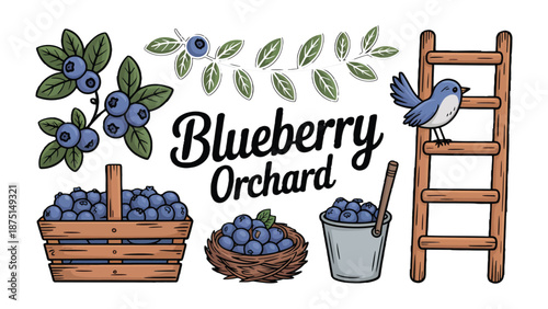 Blueberry Orchard Scene: A charming illustration featuring a collection of ripe blueberries and elements.