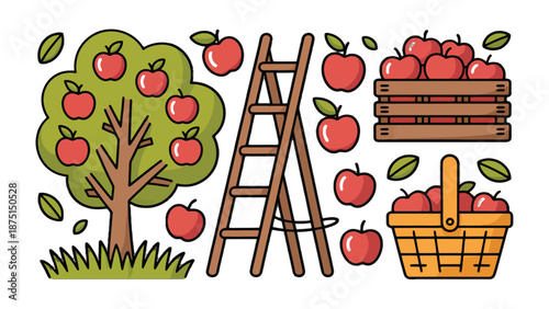 Harvest Season: An illustrated image that depicts an abundant apple harvest with a ladder, apple tree, basket and crate brimming with red apples.