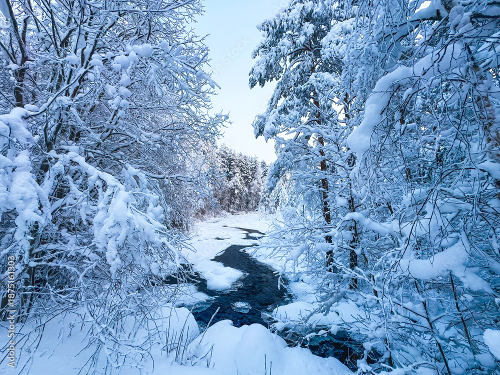 Fototapeta premium Small dark river flowing through a deep snowy forest, frozen winter stream surrounded by trees covered in heavy white hoarfrost