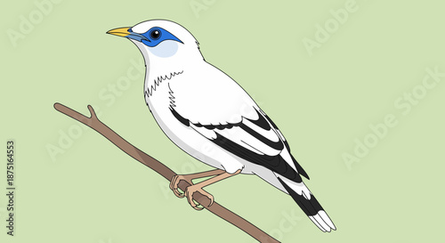 Elegant Bali Myna Illustration Perched on Branch Against Light Green Backdrop
