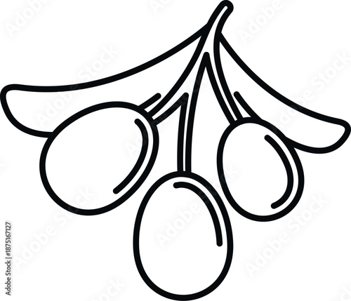 Olive branch with ripe fruit, illustrating healthy food and traditional oil