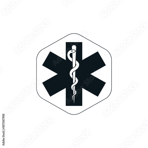 emergency medical services logo with rod of asclepius in star of life