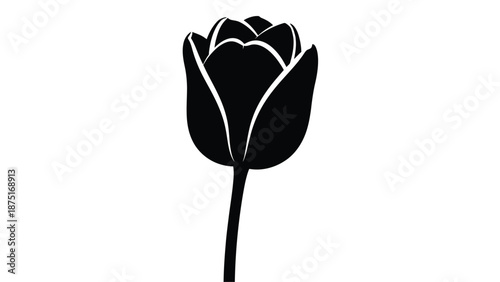 a black silhouette of a tulip on a white background