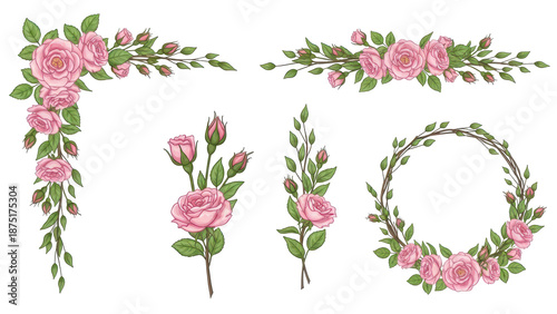 Set of floral branch. Flower pink rose, green leaves. Wedding concept with flowers. Floral poster, invite. Vector arrangements for greeting card or invitation design