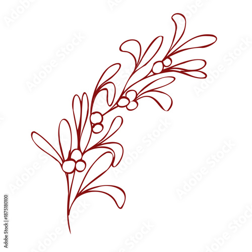 Vintage Christmas mistletoe branch in simple line art sketch style. Contour drawing. Vector whimsical hand drawn doodle illustration for holiday cards, labels, packaging, stickers isolated on white
