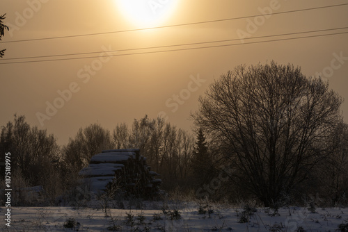 Winter's Golden Haze