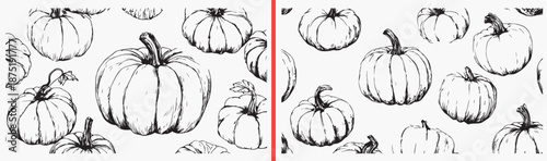 Pumpkin Squash Autumn Vegetable, Fresh Fall Harvest Illustration, Halloween Food Drawing, Organic Produce Sketch, Kitchen Decor Art, Seasonal Vegetable Design, Thanksgiving Food Collection

