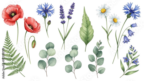 Flowers and leaves set, floral watercolor illustration for greeting card, invitation and other printing design. Isolated on white. Wild flowers hand drawing.