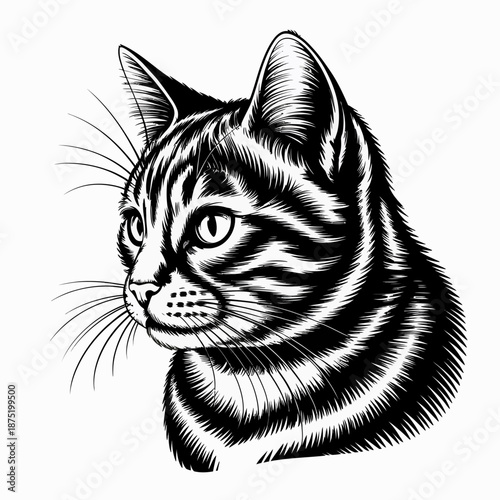 This stylish black and white illustration features the profile of a cat, showcasing intricate details in its fur and whiskers, representing a blend of elegance and artistry.