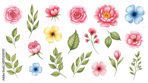 Flowers and leaves set, floral watercolor illustration for greeting card, invitation and other printing design. Isolated on white. Hand drawing.