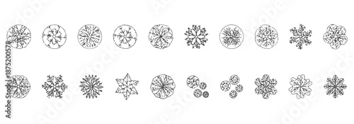 Professional Top View Trees CAD Symbols - Detailed Line Art Vegetation and Landscape Blocks for Architectural Site Planning