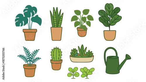 A collection of various potted plants and a watering can
