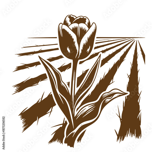 Drawing Vintage Brown tulip flower with leaves and stems on white background  illustration of a single blooming tulip