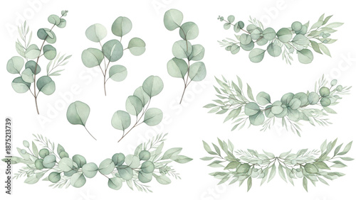 Eucalyptus leaves and greenery borders set.  Watercolor green leaves and branches. Clipart for invitations, greeting cards, save the date, stationery design. Hand drawn illustration.