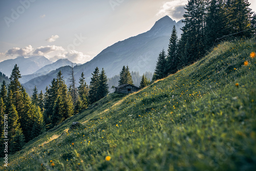 Summer alpine landscape below Mount Biberkopf in the Austrian Alps, overlooking the Lech Valley and Karhorn peaks. An old mountain shelter on a sunny slope in a popular hiking region.