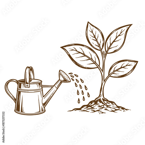 Drawing Vintage Brown illustration of a watering can pouring water on a small plant with green leaves growing out of the ground