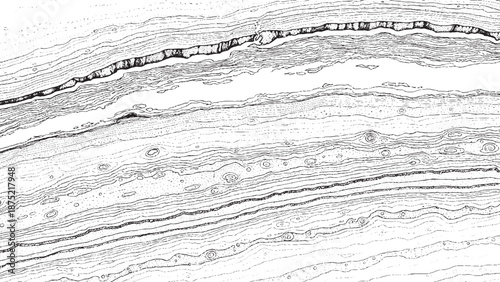 Abstract black and white marble texture background.