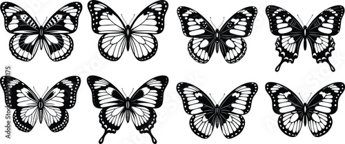 Assortment of butterfly silhouettes with various intricate wing patterns, ideal for decorative designs and nature themes