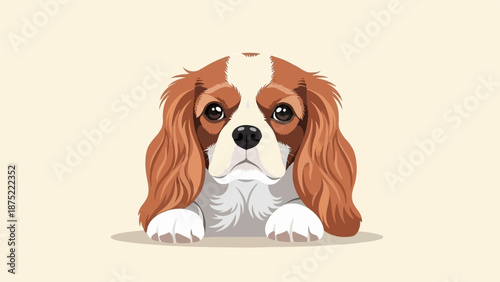 A charming Cavalier King Charles Spaniel with big brown eyes and floppy ears peeks over an invisible ledge