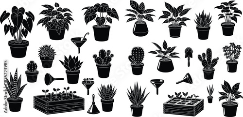 Diverse collection of potted houseplants and essential gardening tools for indoor plant care projects