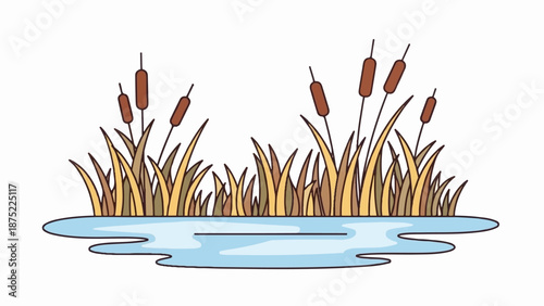 A simple illustration of cattails growing in water