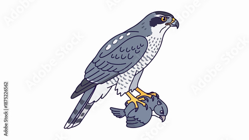 A stylized grey bird of prey with yellow talons and black markings grips a smaller grey bird