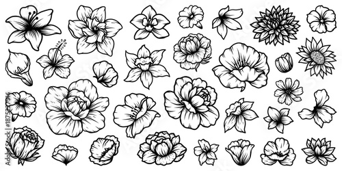 Collection of hand-drawn outline images of various flowers with leaves and buds. Elegant botanical elements for floral design and decor.