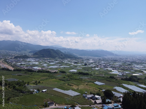 長野の中野市の農園と夏の青空　雄大な山並みと果樹園の風景（ドローン空撮）