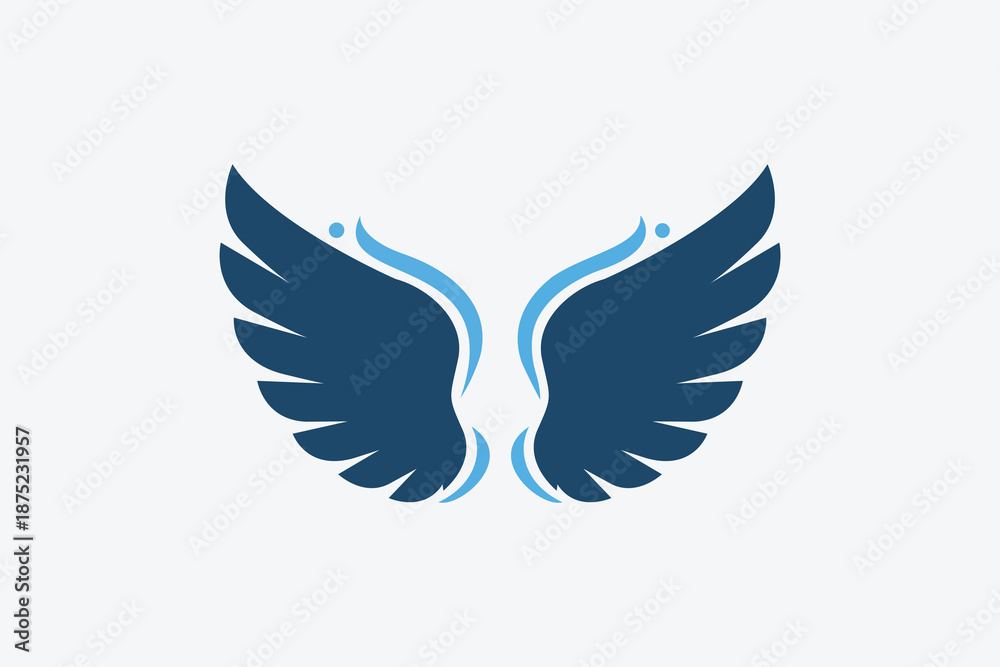 Obraz premium dove with wings