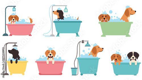 Collection of cute dogs enjoying bath time in colorful tubs filled with bubbles and soapy water for pet grooming themes.