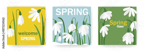 Spring postcard designs with snowdrops. Spring time set of square templates. Layouts for social media, posts, brochures, flyers and posters. Vector graphics
