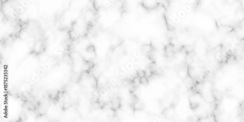 White and black Stone ceramic art wall interiors backdrop design. abstract light elegant black for do floor ceramic counter texture stone slab smooth tile gray silver natural for interior decoration.