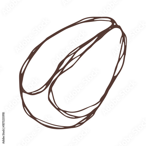 Hand drawn fresh roasted coffee bean Arabica robusta seed doodle Single element for print, web, design, decor