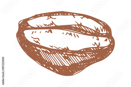 Hand drawn fresh roasted coffee bean Arabica robusta seed doodle Single element for print, web, design, decor