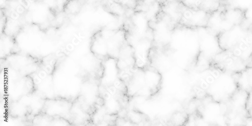 White and black Stone ceramic art wall interiors backdrop design. abstract light elegant black for do floor ceramic counter texture stone slab smooth tile gray silver natural for interior decoration.