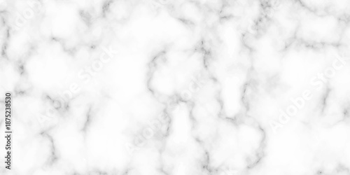 White and black Stone ceramic art wall interiors backdrop design. abstract light elegant black for do floor ceramic counter texture stone slab smooth tile gray silver natural for interior decoration.