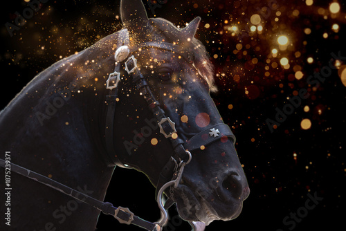 Portrait of a horse with different backgrounds. Year of the Fire Horse (Bing Wu).Chinese New Year 2026.