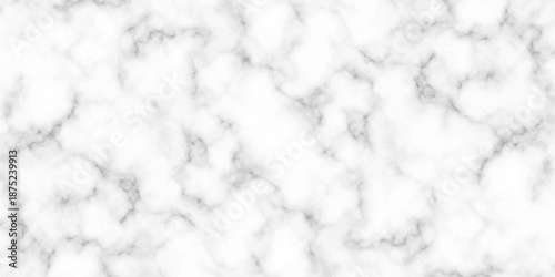 White and black Stone ceramic art wall interiors backdrop design. abstract light elegant black for do floor ceramic counter texture stone slab smooth tile gray silver natural for interior decoration.