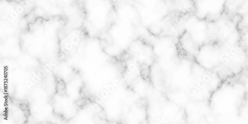 White and black Stone ceramic art wall interiors backdrop design. abstract light elegant black for do floor ceramic counter texture stone slab smooth tile gray silver natural for interior decoration.