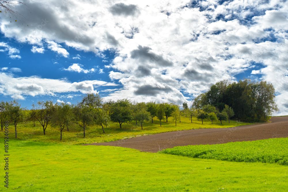 Obraz premium Feldlandschaft, Streuobstbäume