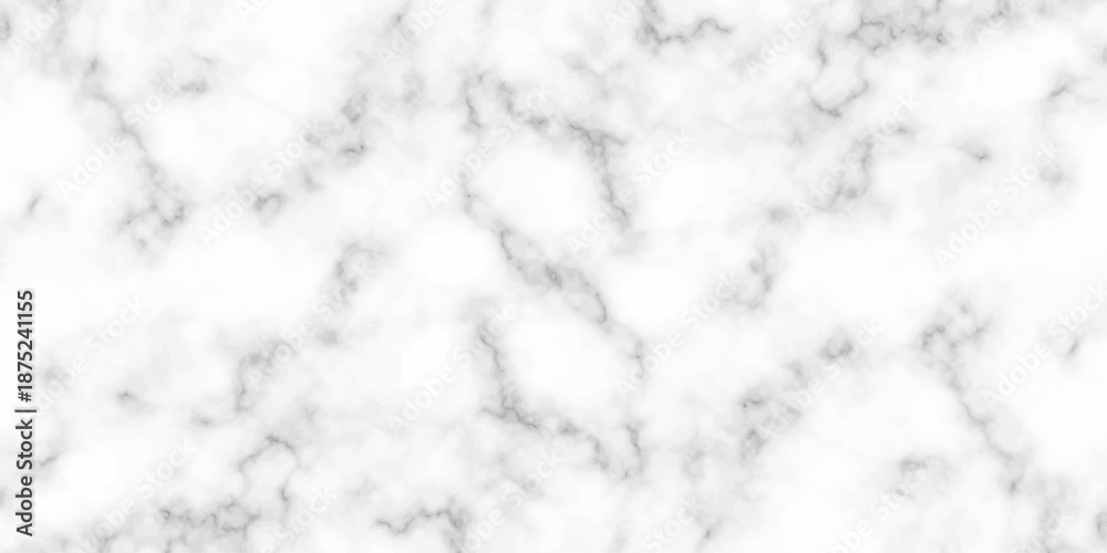 Obraz premium White and black Stone ceramic art wall interiors backdrop design. abstract light elegant black for do floor ceramic counter texture stone slab smooth tile gray silver natural for interior decoration.